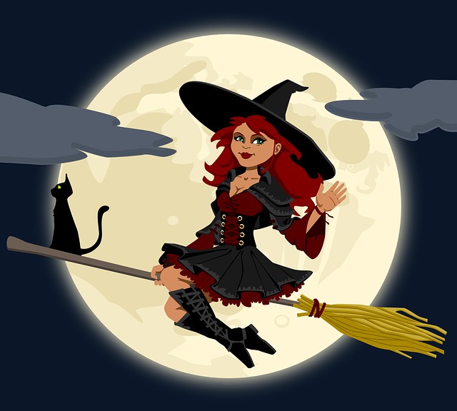 https://pixabay.com/pt/bruxa-bruxaria-broomstick-vassoura-155291/